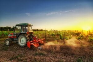 Mannaia dell’Europa sull’agricoltura. In nome del «green» avremo la fame