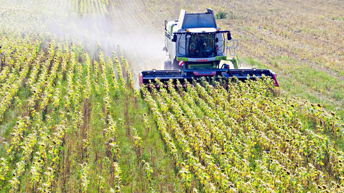 Con la scusa della guerra manipolano gli alimenti