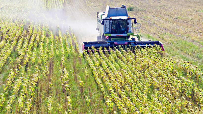 Con la scusa della guerra manipolano gli alimenti