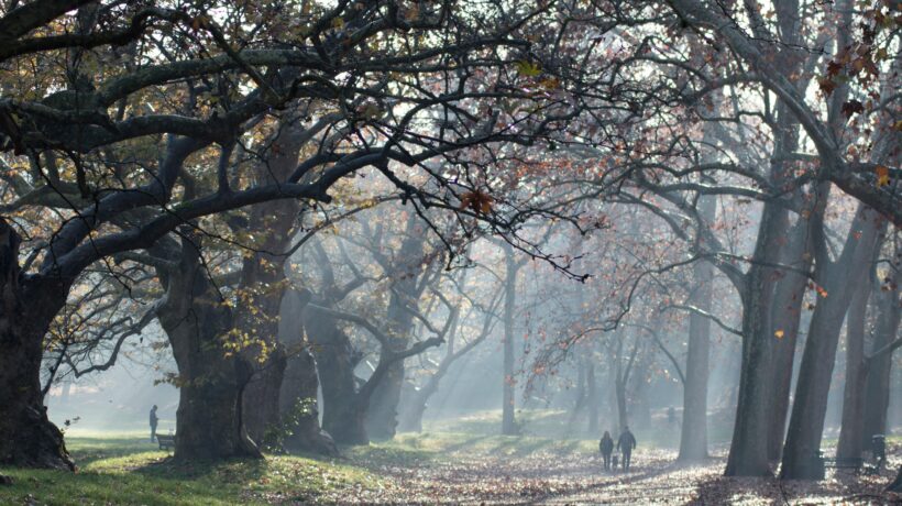 Dall’Orto botanico all’Insugherata le tante oasi di verde nella città del caos
