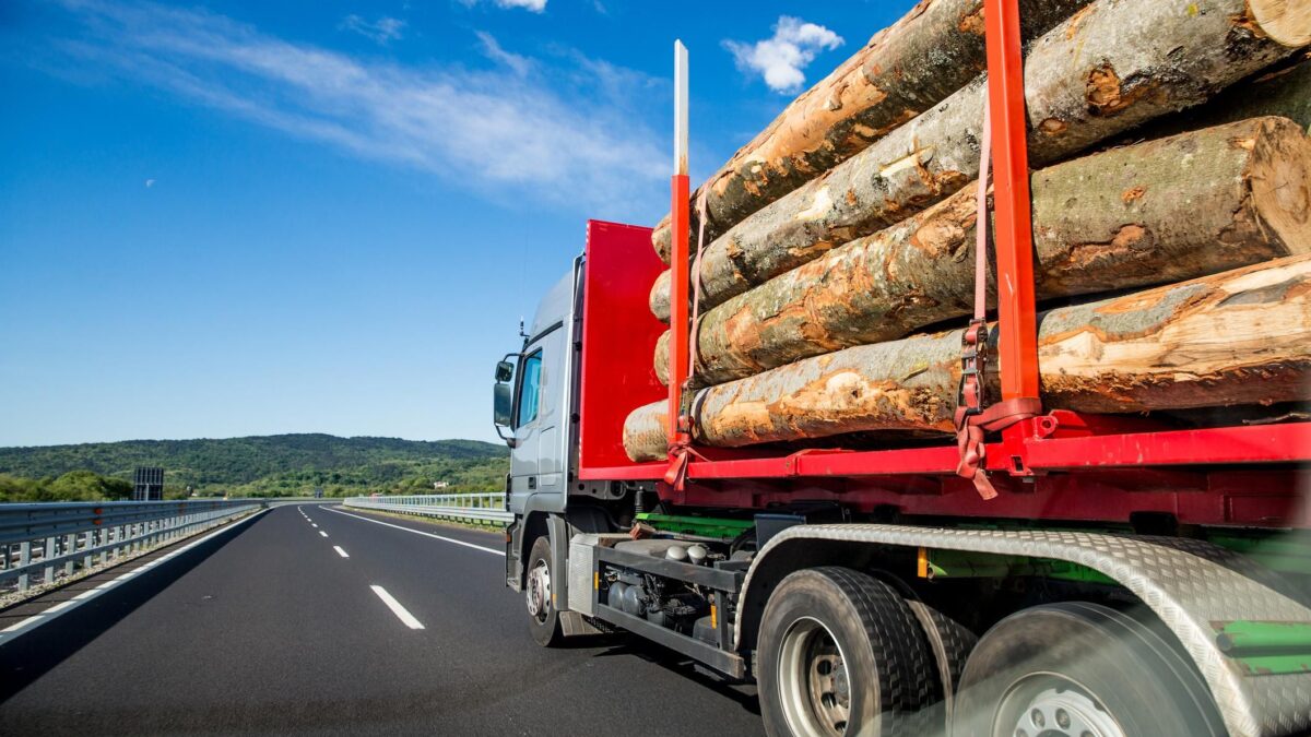 Trasporti, legno, cemento e alcolici. Il boomerang ci prenderà in pieno