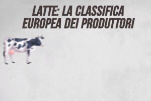Latte: la classifica europea dei produttori