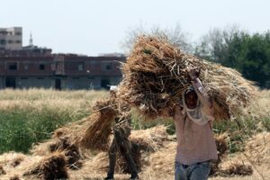 Immigrati e cibo sono le nuove armi di guerra