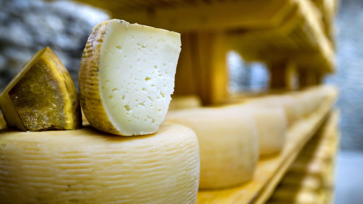 Pecorino. L’«italcacio» che sfida a casa sua il Parmigiano reggiano