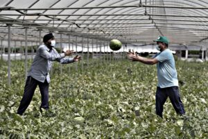 Altro che manodopera a basso costo. L’alternativa c’è ed è tagliare le tasse