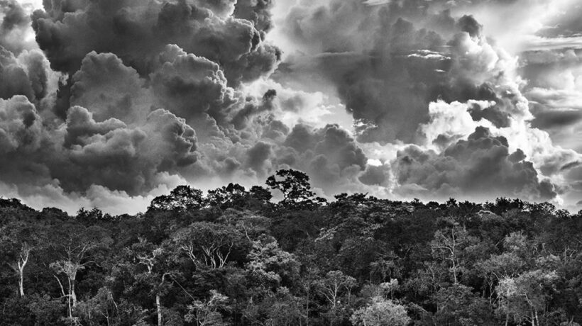 Salgado al MAXXI di Roma
