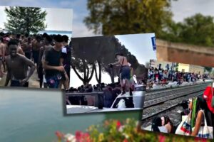 Il branco del Garda dilaga ovunque perché abbiamo ucciso il padre