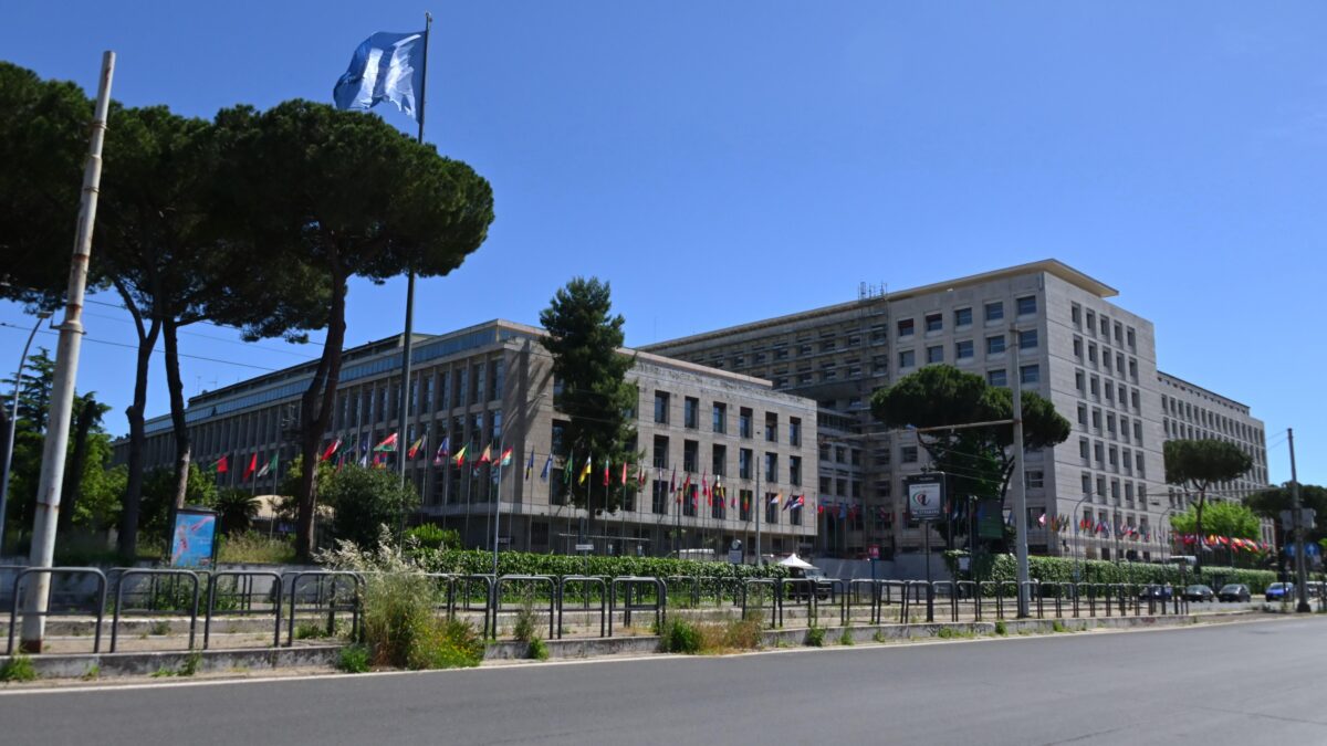 Kiev vuole la Russia fuori dalla Fao. Putin: «Non faremo la fine dell’Urss»