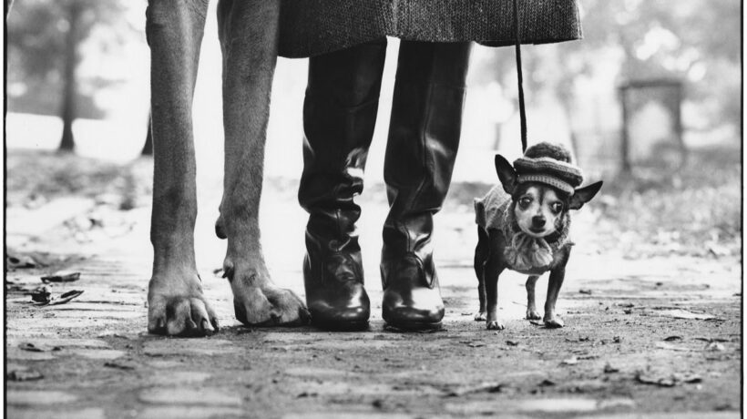 Elliott Erwitt in mostra al museo Diocesano di Milano