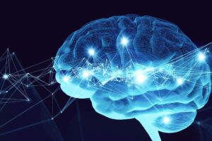 Anche la neuroscienza è divenuta un dogma