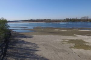 Siccità, quanti buchi nell’acqua. Tubi colabrodo e veti ecologisti: i nostri errori