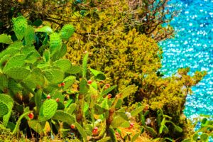 Karol, mare negli occhi e una lingua segreta