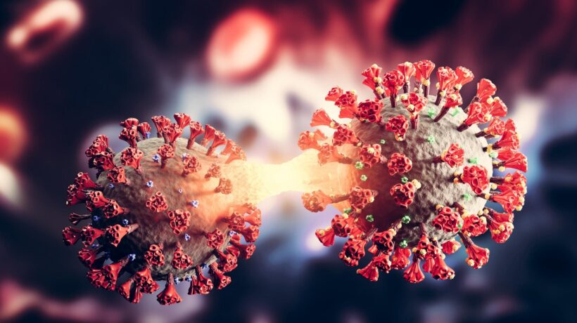 Per uno studio Usa è più rischioso il vaccino del virus