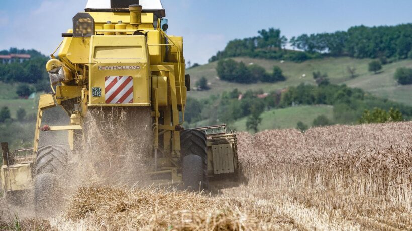 Il grano va su e i coltivatori giù: in piazza