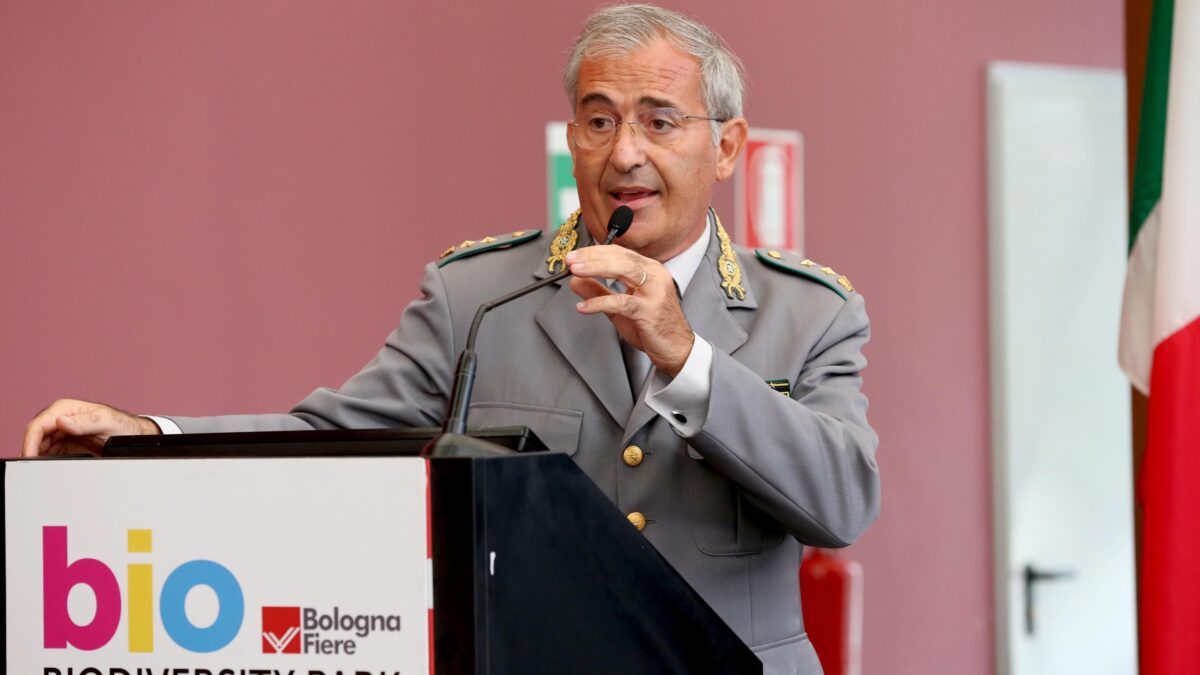 Incendi: «Dietro alcuni disastri si celano gruppi criminali e prostituzione»