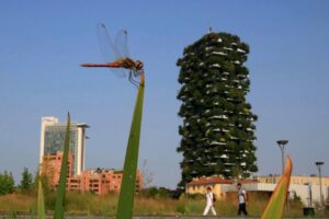 Piantare a caso in nome del green. Il modello Milano contagia il Paese
