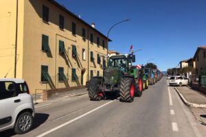 La rivolta contadina olandese si sente sin qui