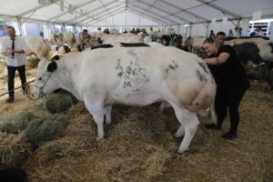 Consorzi agrari d’Italia si espande. L’innovazione passa dalle filiere