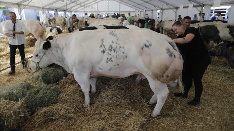 Consorzi agrari d’Italia si espande. L’innovazione passa dalle filiere