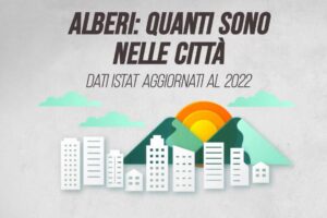 Alberi: quanti sono nelle città