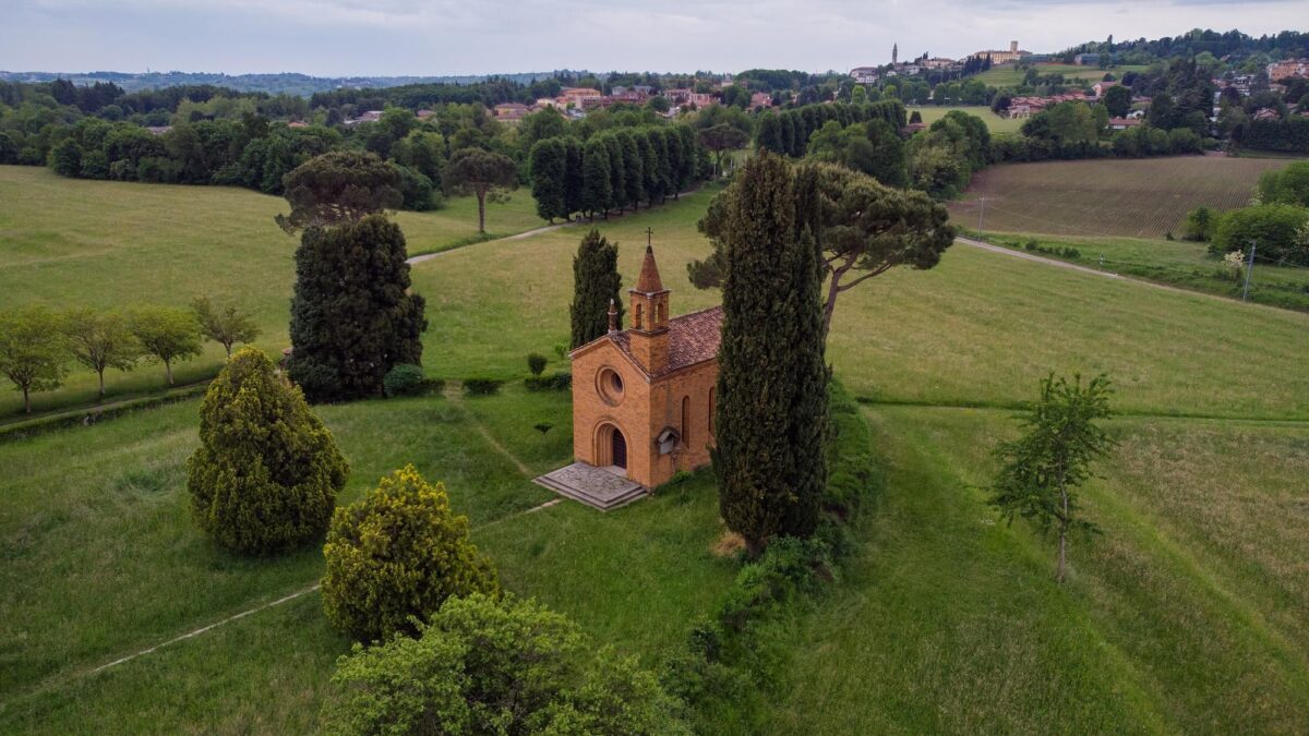 Chi va a caccia di alberi trova dei tesori