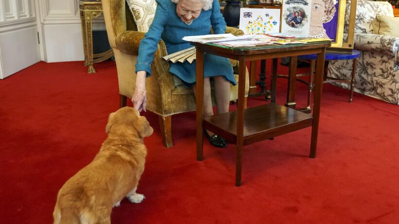 Con uno degli amati Corgi (Getty Images)