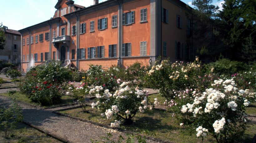 Le poesie e i sogni di Clara nascono tra le foglie del platano bicentenario