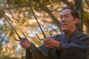 Cobra Kai verso la sesta stagione: un elogio della forza, aggiornata ma non stravolta