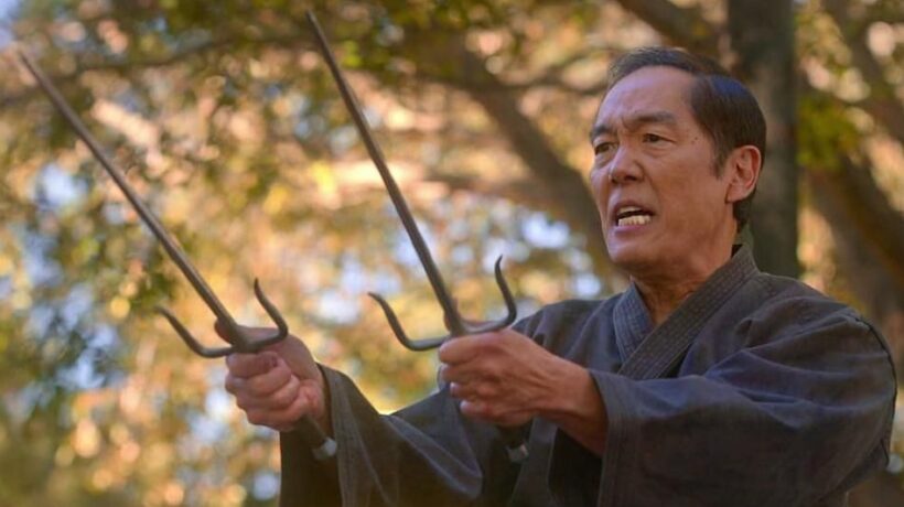 Cobra Kai verso la sesta stagione: un elogio della forza, aggiornata ma non stravolta