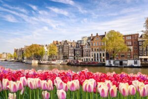 Amsterdam in 48 ore