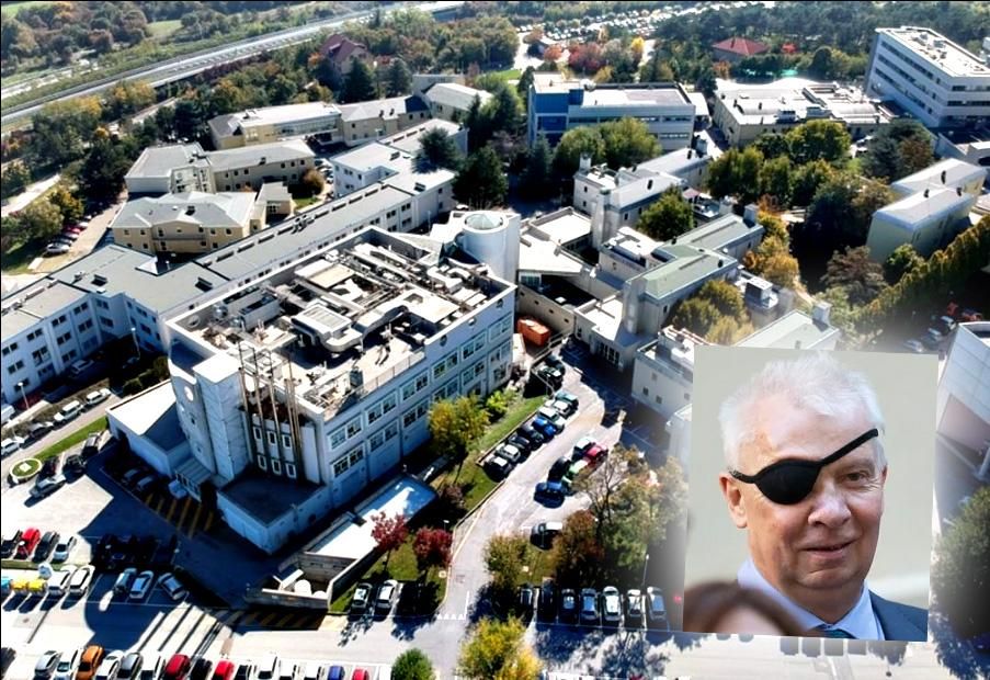 Il centro Onu piazzato a Trieste non è Italia