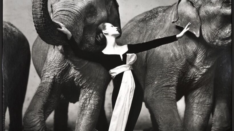 Richard Avedon a Palazzo Reale