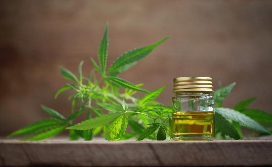 In vendita caramelle, biscotti e patatine al Thc: «Un pericolo per i bambini»