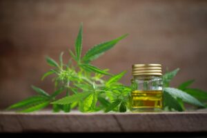 In vendita caramelle, biscotti e patatine al Thc: «Un pericolo per i bambini»