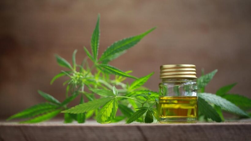 In vendita caramelle, biscotti e patatine al Thc: «Un pericolo per i bambini»