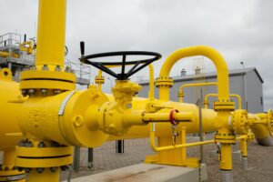 Tettuccio cabrio al prezzo del gas. Ma l’Ue ci impone acquisti comuni