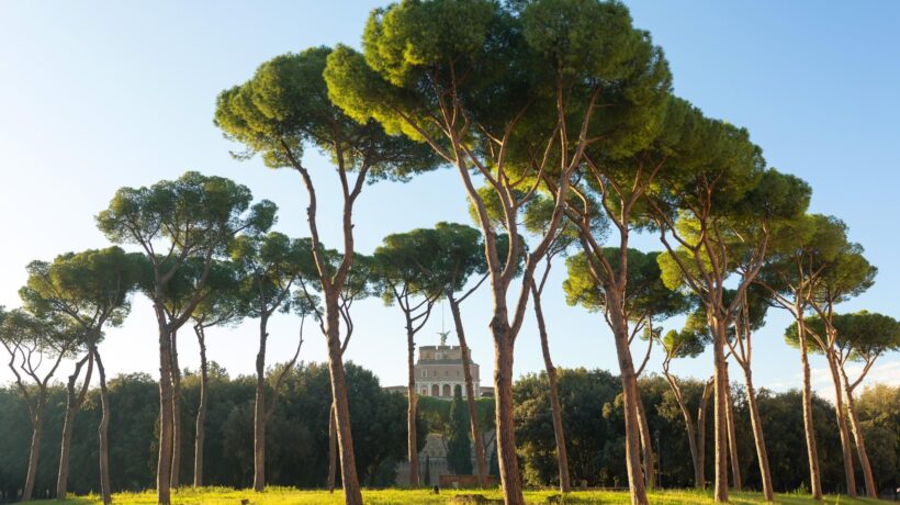 Alla scoperta dei parchi di Roma