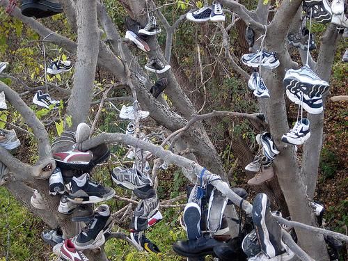 Gli alberi con le scarpe al posto dei frutti