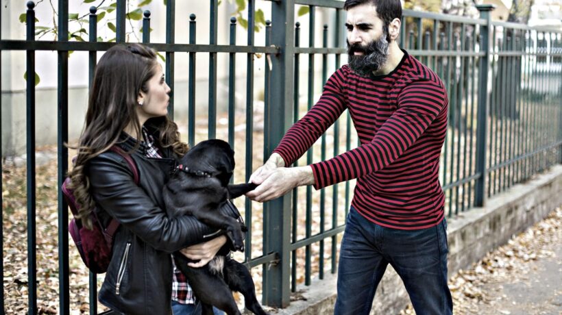 Tra moglie e marito non mettere Fido. Cuccioli contesi tra eredità e divorzi