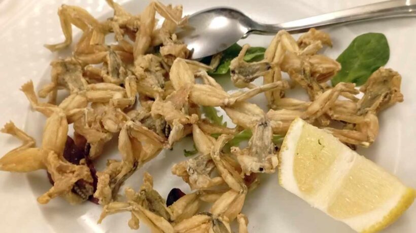 Le rane e i missoltini orgoglio gourmet della povertà padana