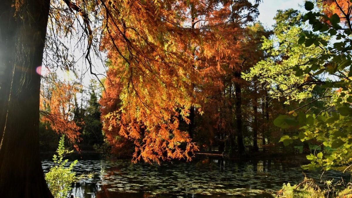 Incantarsi a Brescia nel piccolo paradiso di un parco con il lago