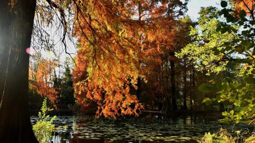 Incantarsi a Brescia nel piccolo paradiso di un parco con il lago