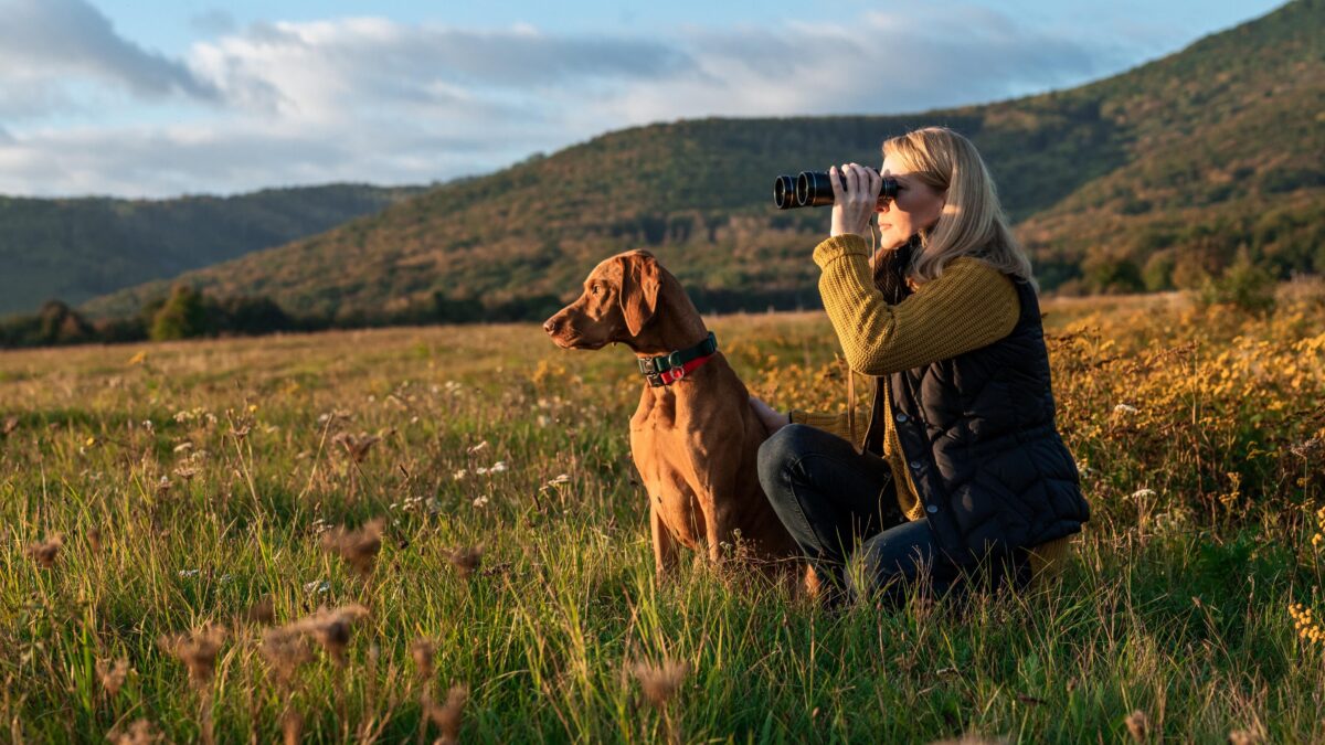 L’importanza del cane nell’arte venatoria