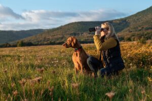 L’importanza del cane nell’arte venatoria