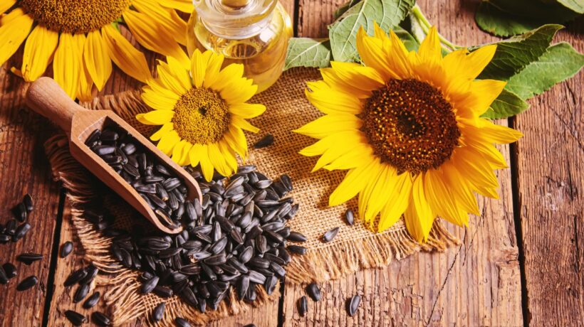 Girasole, il portafortuna per l’anno nuovo