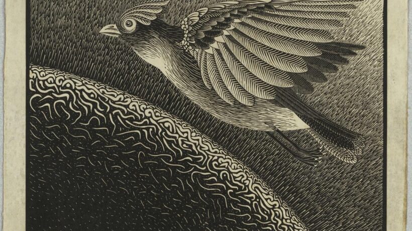 Escher al museo degli Innocenti di Firenze