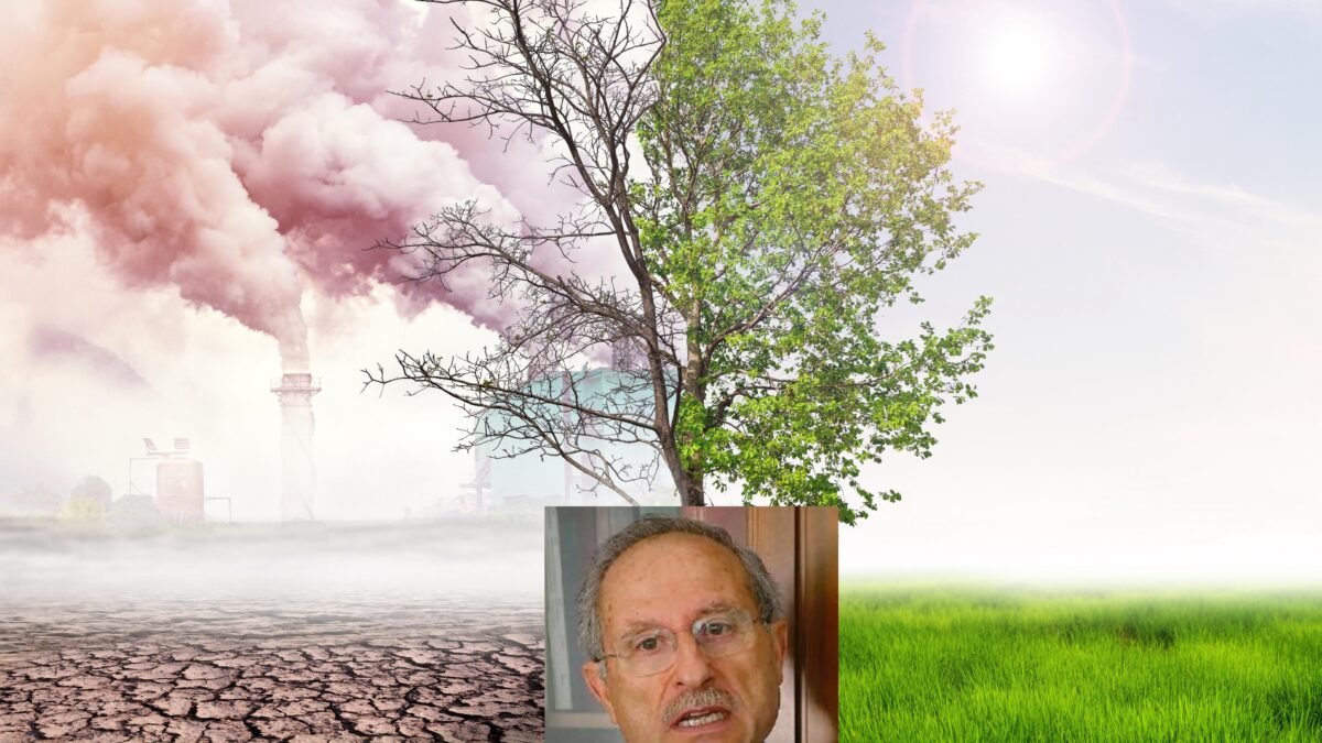 «Vi svelo le bugie della green economy»