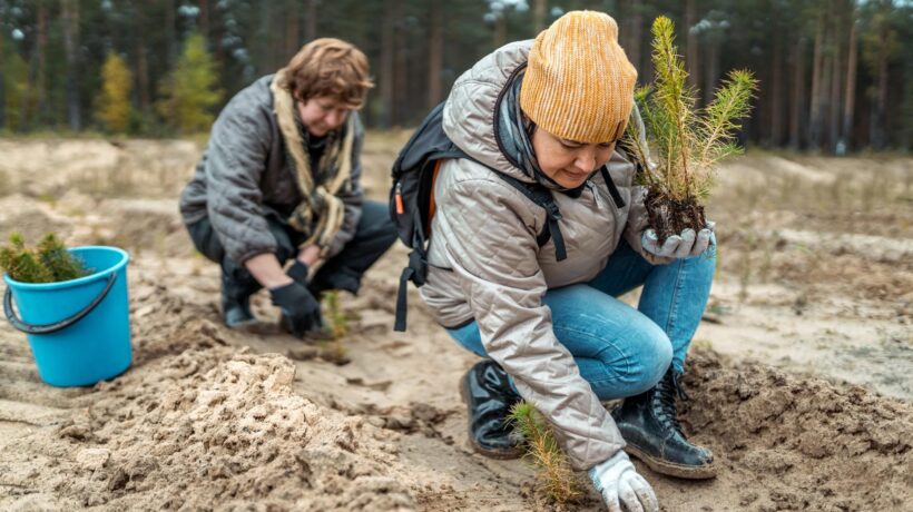 L’Europa prepara il nuovo cappio verde: un piano aggressivo per la riforestazione