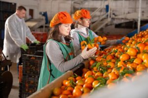 L’economia italiana può fare meglio delle previsioni. Cruciali export e agricoltura