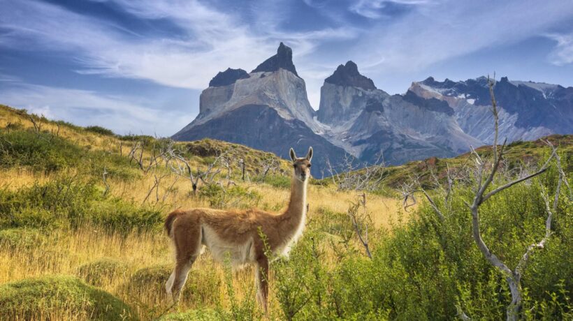 iStock